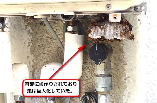 アシナガバチ巣給湯器