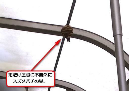 スズメバチ駆除雨避け屋根