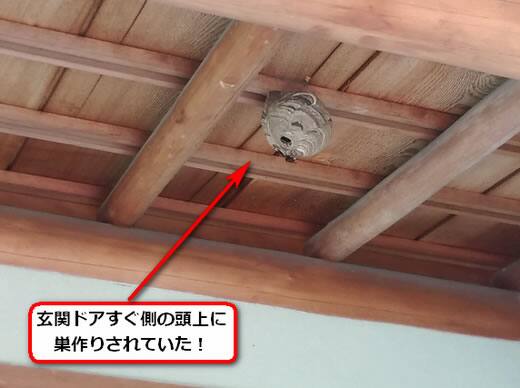 スズメバチ駆除軒下