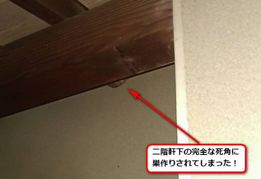 スズメバチ駆除軒下