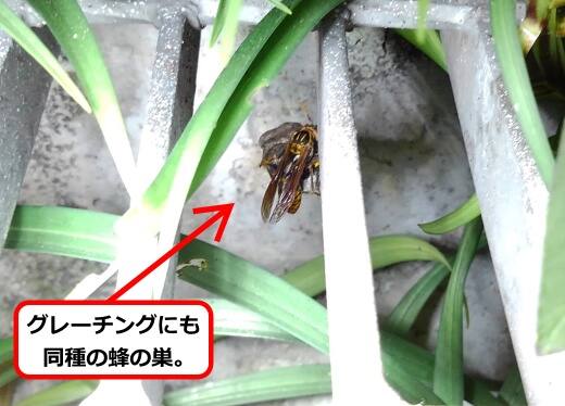 グレーチング蜂の巣
