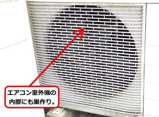 店舗室外機蜂の巣