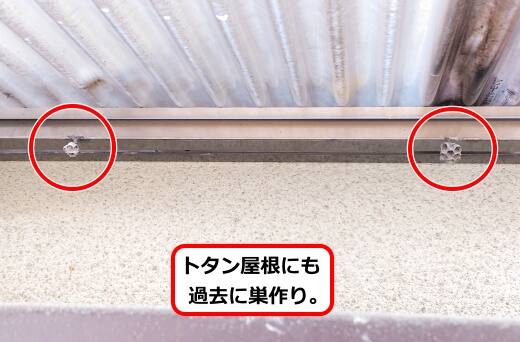 トタン屋根過去巣