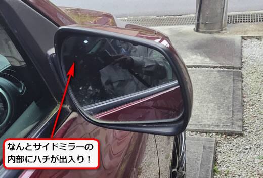 蜂の巣サイドミラー