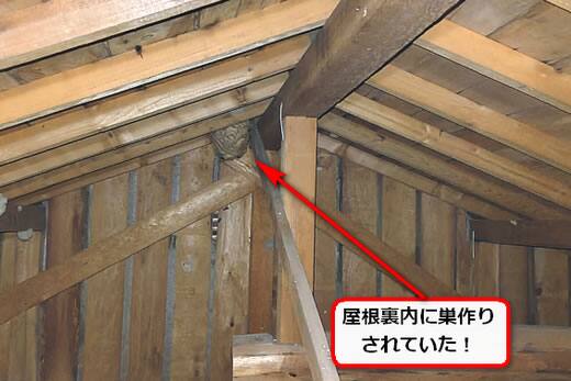 二階屋根裏蜂の巣