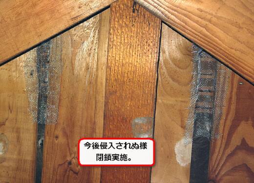 蜂侵入口閉鎖