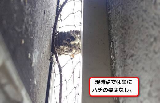 スプレー噴射蜂の巣