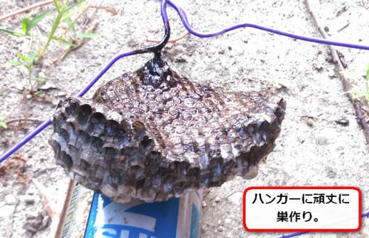 ハンガー蜂の巣