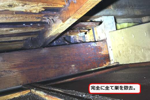 スズメバチ巣撤去