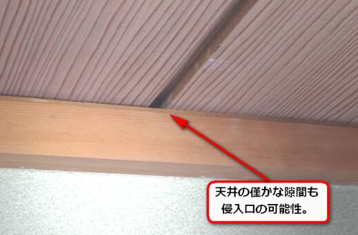ハチ侵入口天井隙間