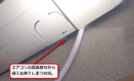 ハチ侵入口室内