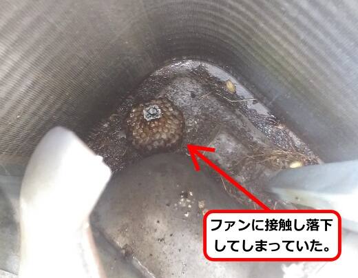 室外機落下蜂の巣