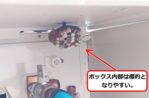 給湯器アシナガバチ巣