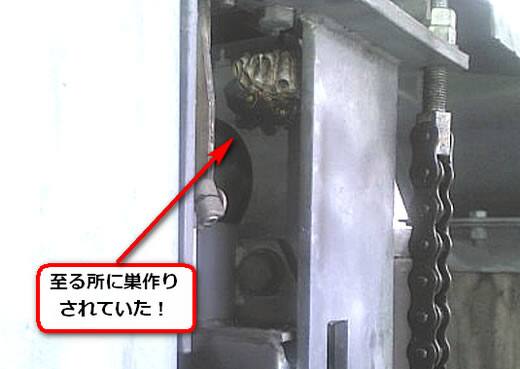 アシナガバチ駆除立体駐車場