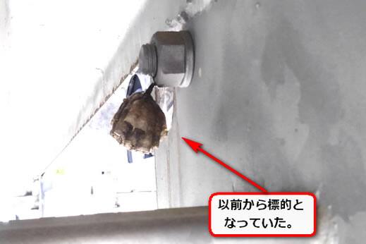 蜂の巣立駐鉄骨