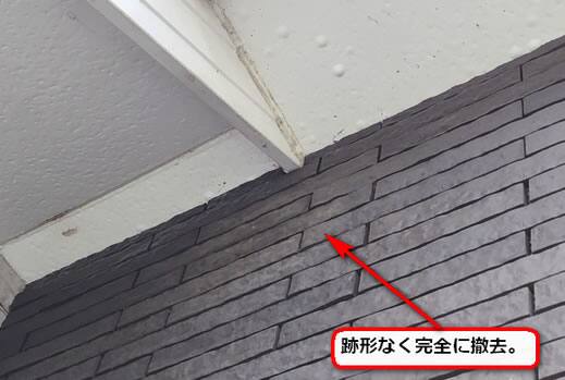 スズメバチの巣撤去軒