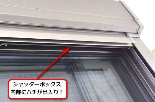 7月31日ドロバチ