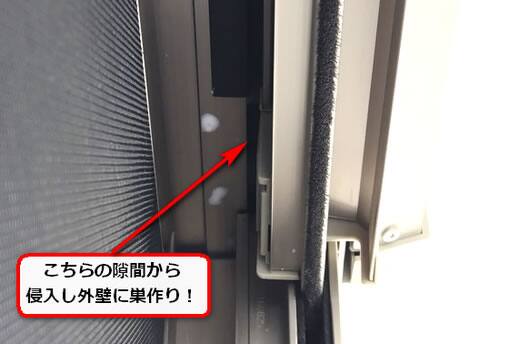 シャッターボックスドロバチ