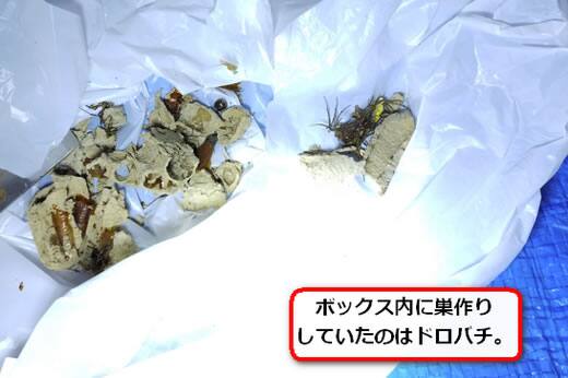 ドロバチの巣