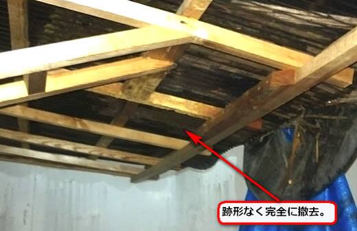 スズメバチの巣完全撤去