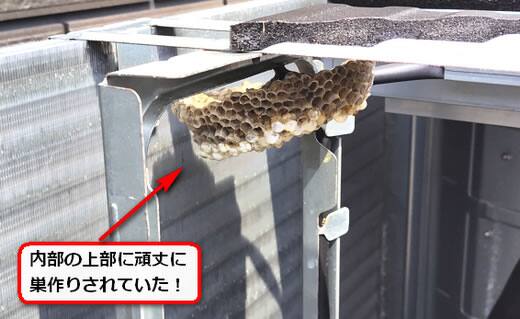 室外機内部蜂の巣
