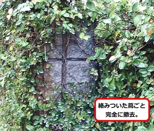 蔦蜂の巣撤去