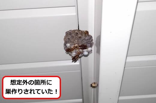 物置アシナガバチ巣