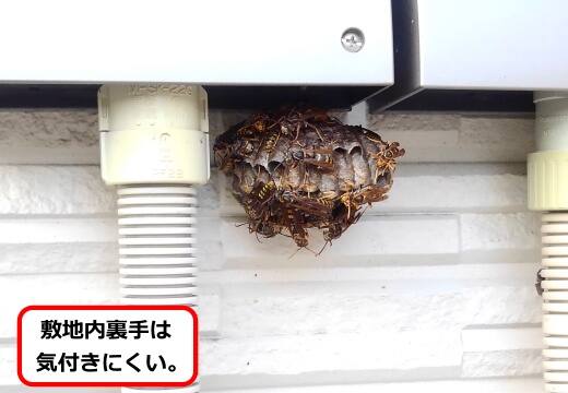 配管接続口蜂の巣
