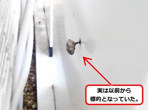 給湯器ユニット蜂の巣