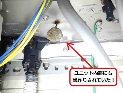 給湯器アシナガバチ巣