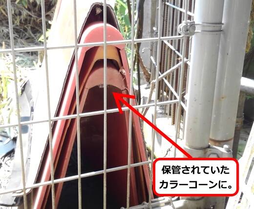 カラーコーン蜂の巣