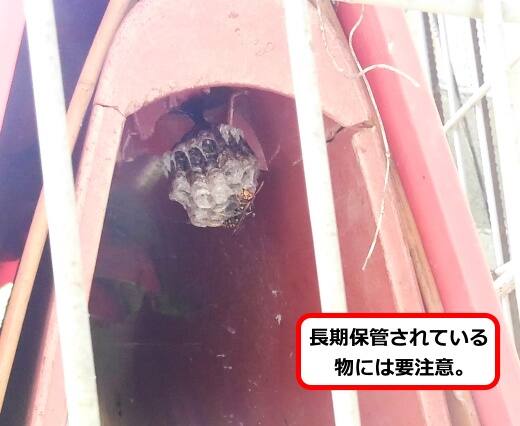 保管物蜂の巣