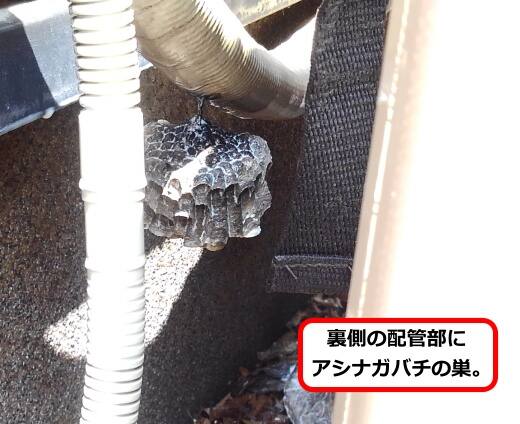 室外機蜂の巣