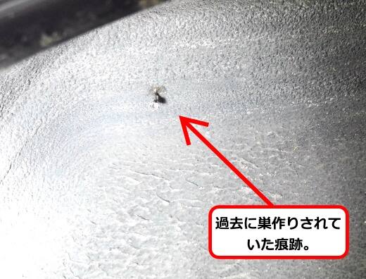 ホイールハウス蜂の巣