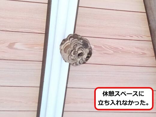 蛍光灯スズメバチ巣