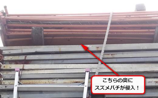 スズメバチ資材置き場