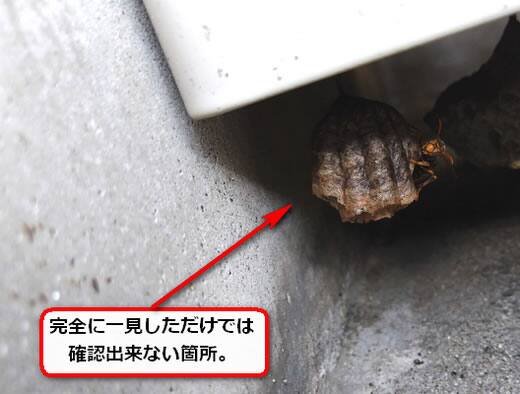 室外機裏アシナガバチ巣