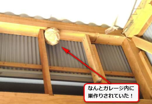蜂の巣月極ガレージ