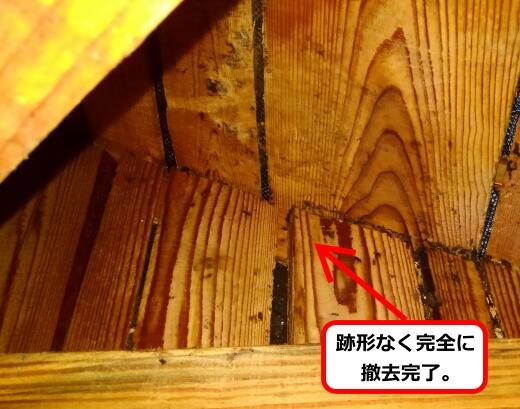 天井裏巣撤去