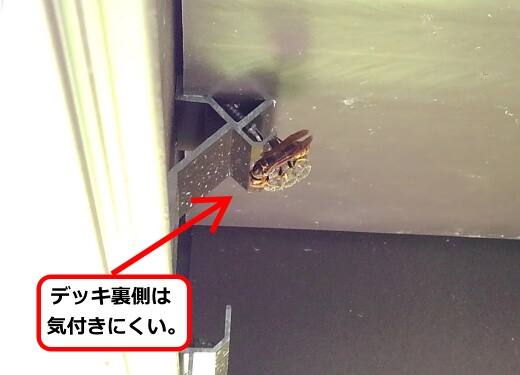 デッキハチの巣