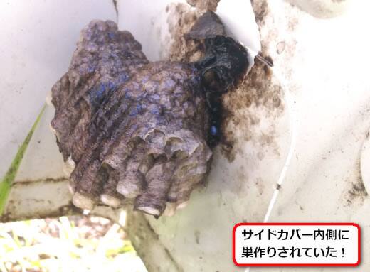 アシナガバチ巣室外機