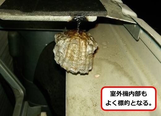 室外機内部蜂の巣