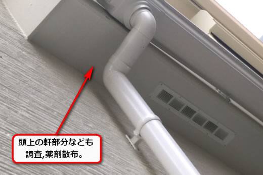 ハチ調査軒