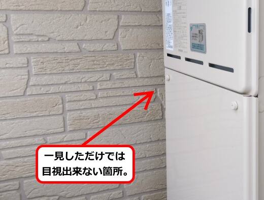 5月26日アシナガバチ