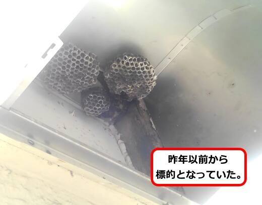 ビル換気口蜂の巣