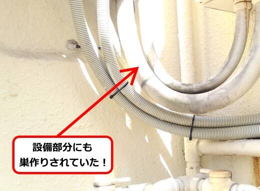 設備配管蜂の巣