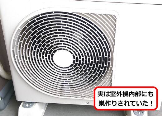 ベランダ室外機蜂の巣