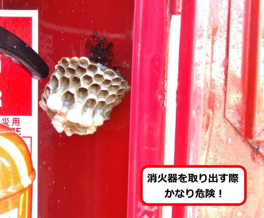 消火器収納ボックスハチ