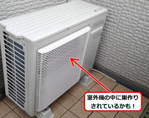 7月12日アシナガバチ