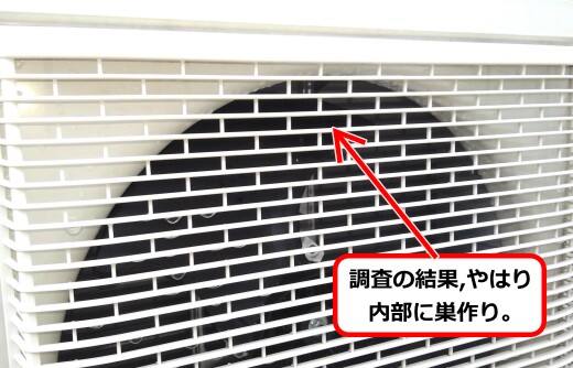 室外機内部ハチ